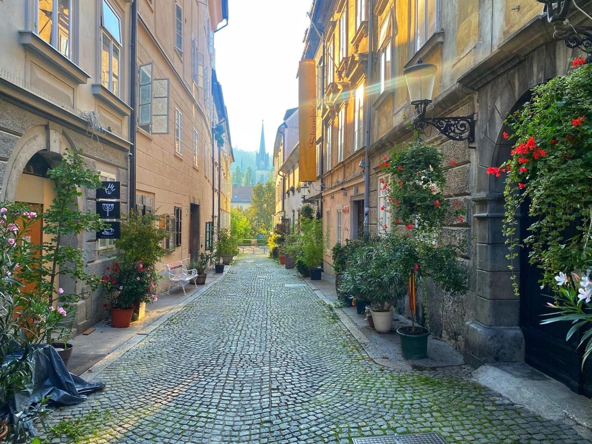Apartament 1br On The Beautiful Street In Center *